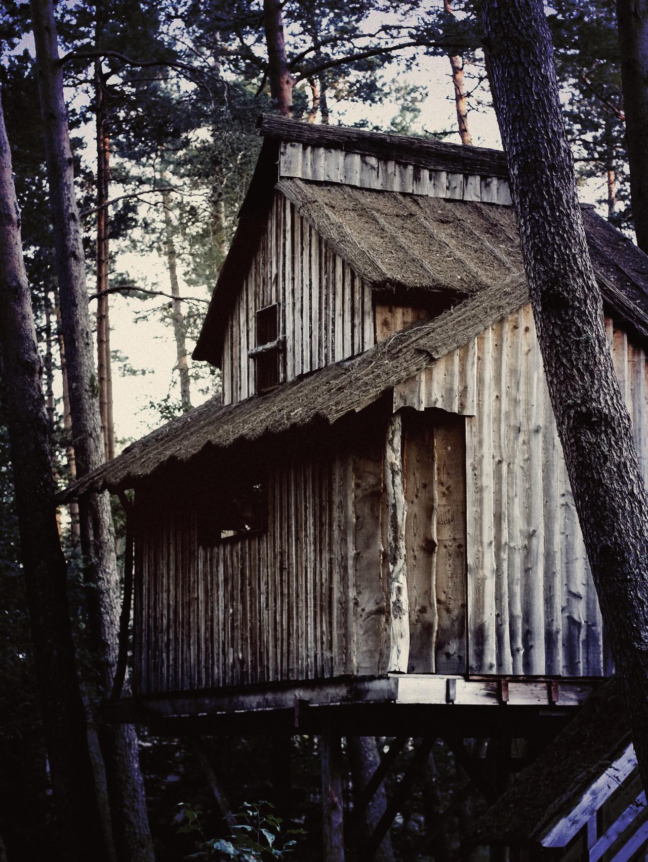 a tree house in the middle of the woods